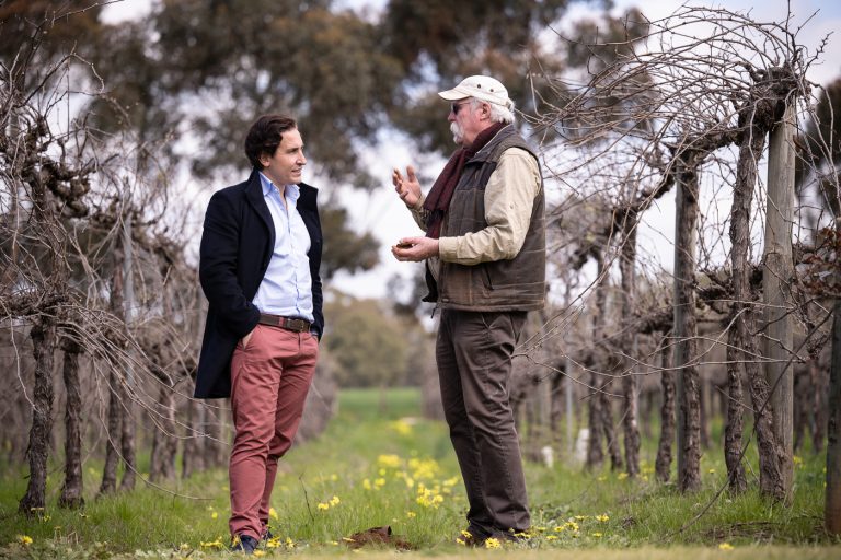 Gibson Wines